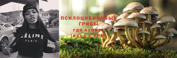 стафф Лабытнанги