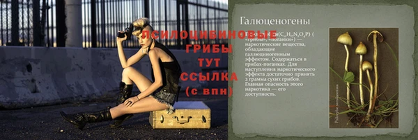 стафф Лабытнанги