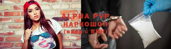 стафф Лабытнанги