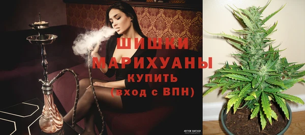 не бодяженный Ладушкин